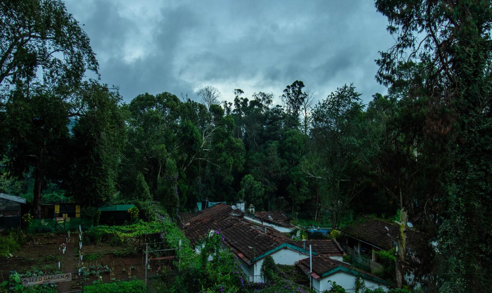 Treebo Kodai Kings Park, 650 M From Kodai Lake Tamilnadu - Kodaikanal Exterior foto